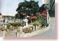 pcfoto8